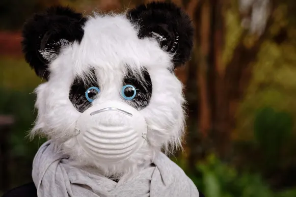 Καζίνο Κυβερ Μπινγο Υποστηριξη